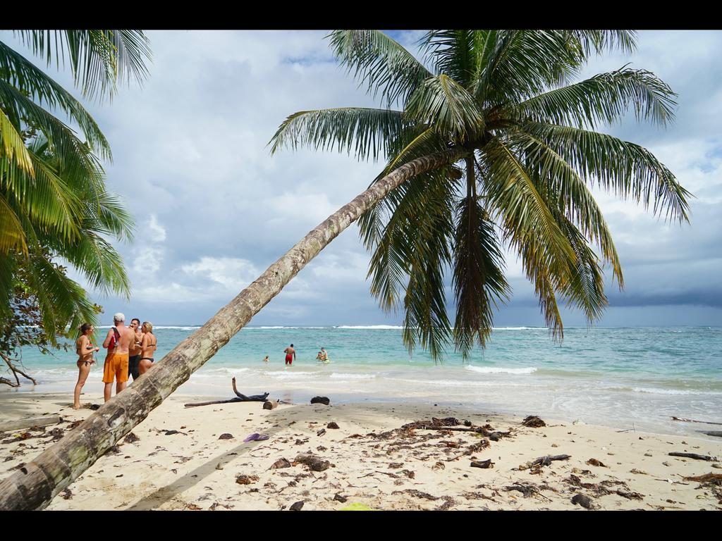Surf Camp Hotel Bocas Town Exterior photo