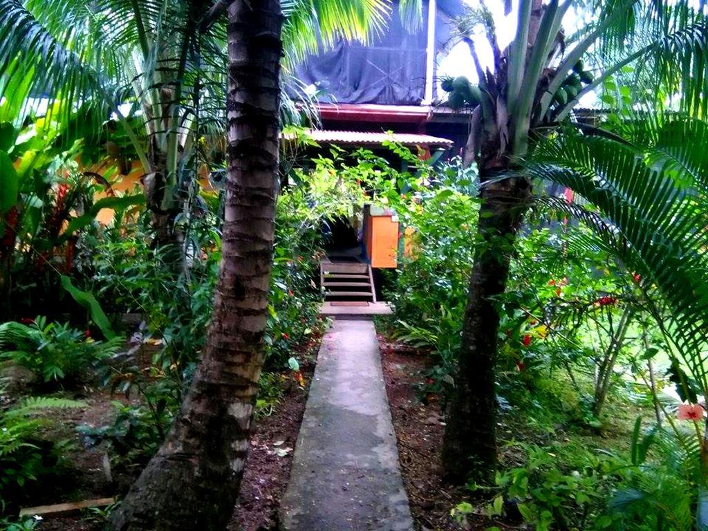 Surf Camp Hotel Bocas Town Exterior photo
